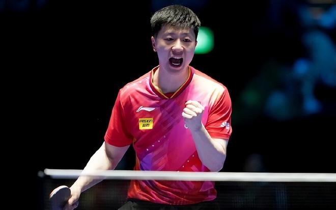 个狗屁数哪 个狗屁数哪