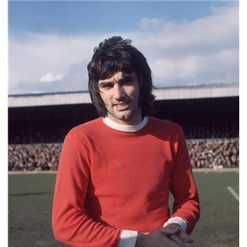 的多样化 的多样化